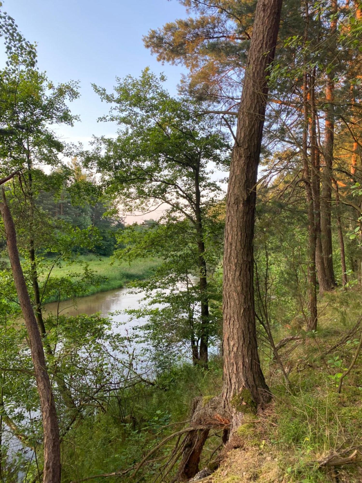 Przytulny Domek W Lesie Blisko Rzeki Ryczywol  Exterior foto