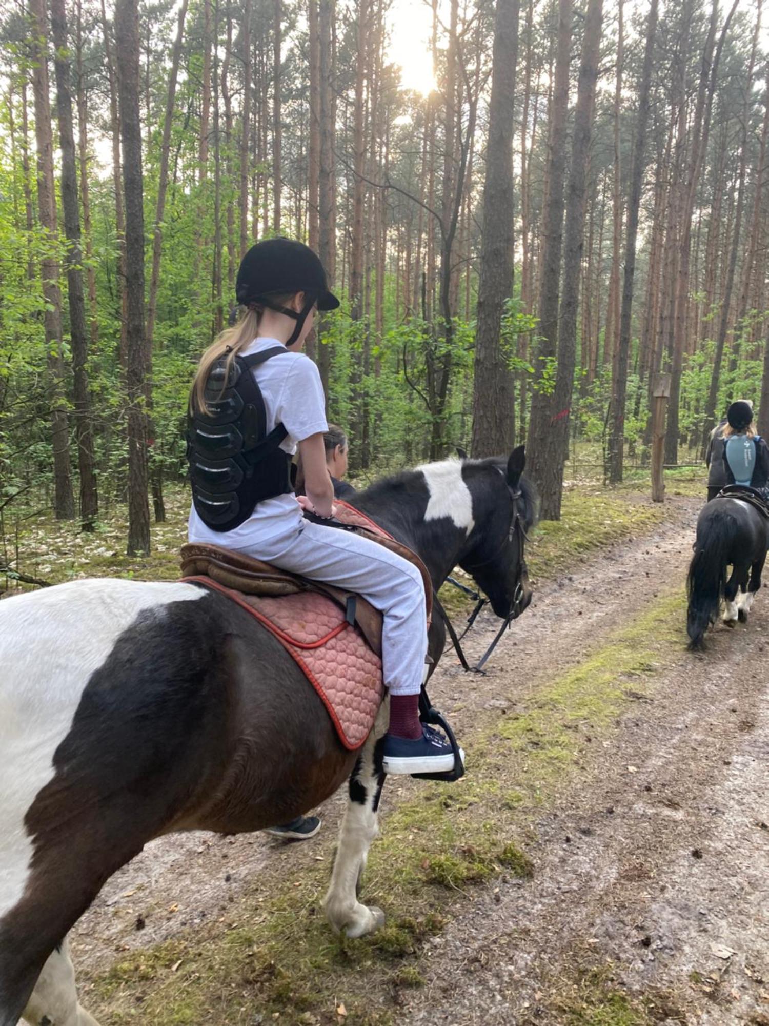 Przytulny Domek W Lesie Blisko Rzeki Ryczywol  Exterior foto
